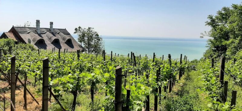Lake Balaton Full-Day Tour From Budapest - Customer Feedback