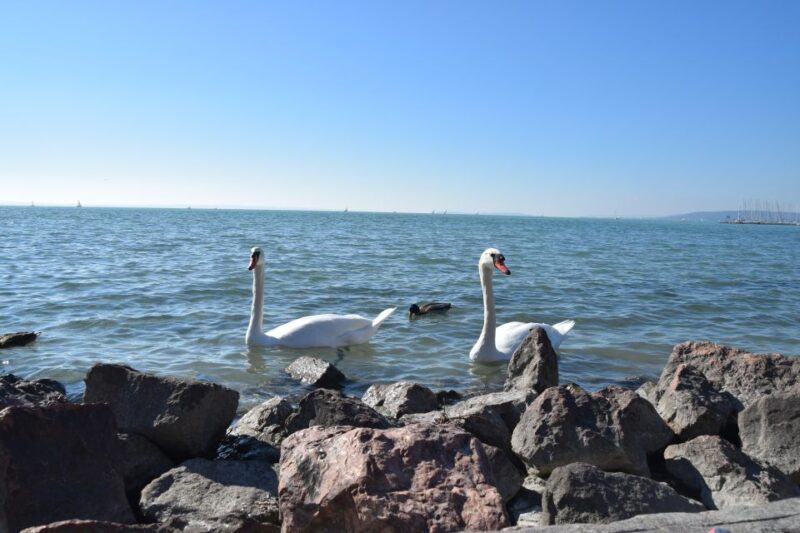 Lake Balaton + Herend Porcelain Experience With Gabor - Transportation and Pickup