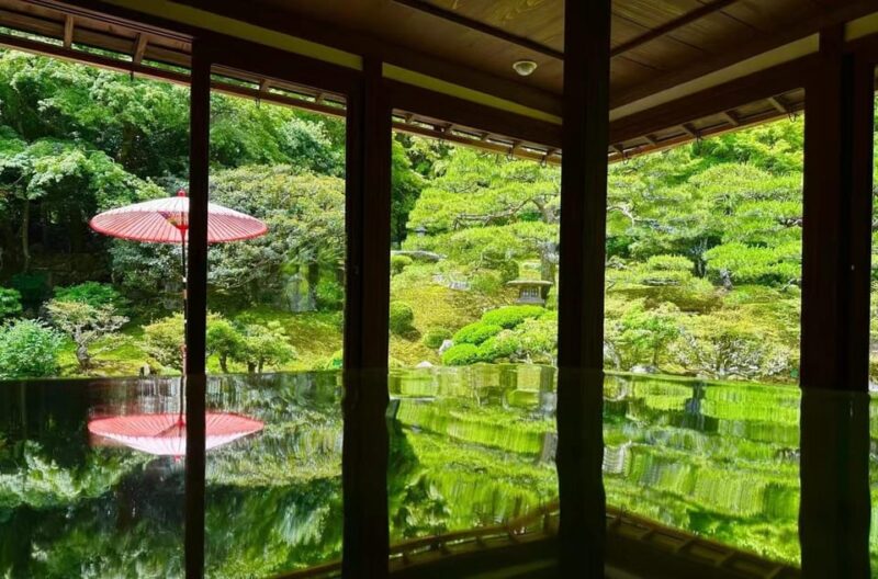 Lake Biwa One Day Miho Torii Tour - Highlights