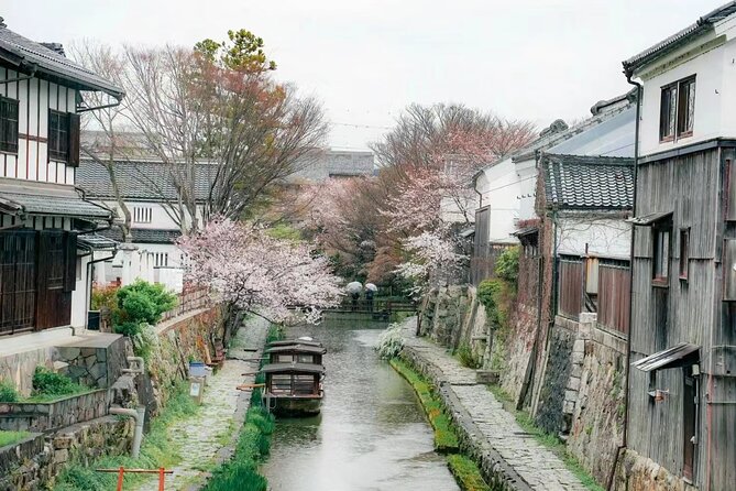 Lake Biwa One-Day Tour: Miho and Torii Gate - Tour Inclusions and Accessibility