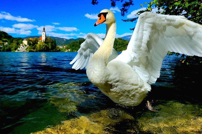 Lake Bled Half Day Excursion From Ljubljana - Itinerary and Highlights