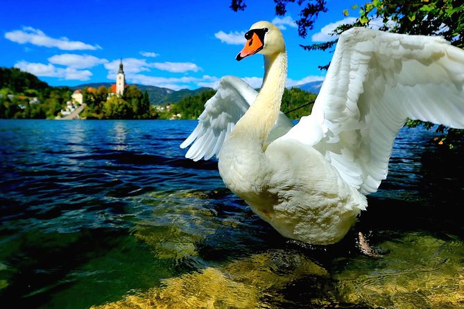 Lake Bled & Ljubljana - Shore Excursion From Trieste - Complimentary Inclusions