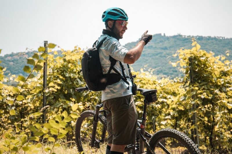 Lake Bolsena and the via Francigena Ebike Tour - Experience Highlights
