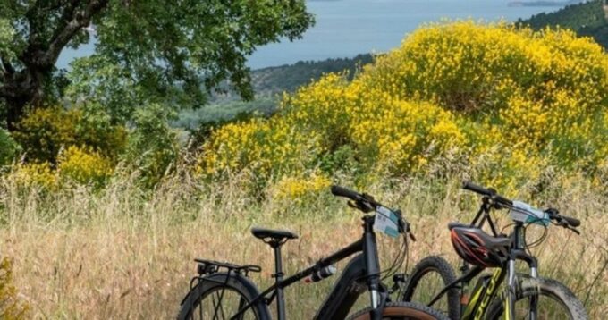 Lake Bolsena and the via Francigena Ebike Tour - Difficulty and Fitness Level