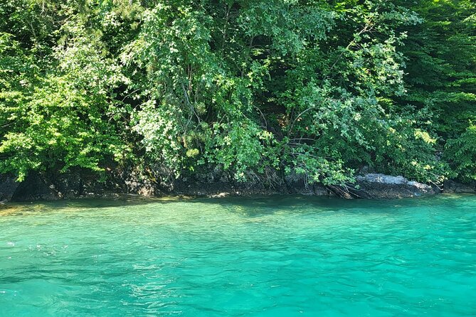 Lake Brienz Boat Tour for a Full Day! - Scenic Lake Views