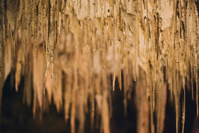 Lake Cave Fully Guided Tour - Safety and Medical Considerations