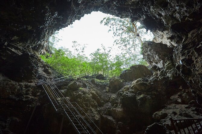 Lake Cave Fully Guided Tour - Tour Inclusions and Exclusions