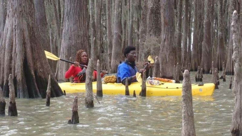 Lake Charlotte Flooded Cypress Forest | Eco Wonderland Tour - Setting the Scene: What the Tour Offers