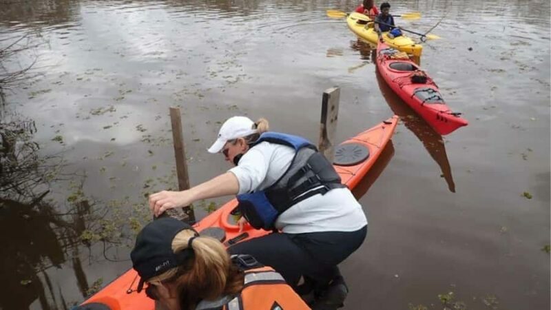 Lake Charlotte Flooded Cypress Forest | Eco Wonderland Tour - Practical Details and Preparation