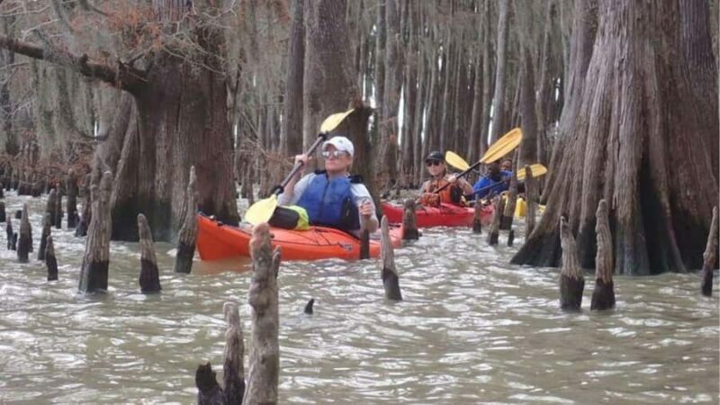Lake Charlotte Flooded Cypress Forest | Eco Wonderland Tour - Who Should Consider This Tour?