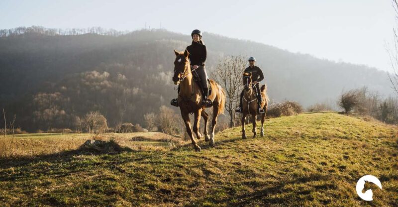 Lake Como: Horseback Adventure & Tasting With Amazing Views - Key Points