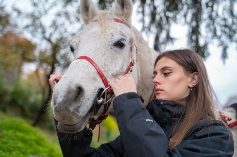 Lake Como: Horseback Adventure & Tasting With Amazing Views - Highlights of the Experience