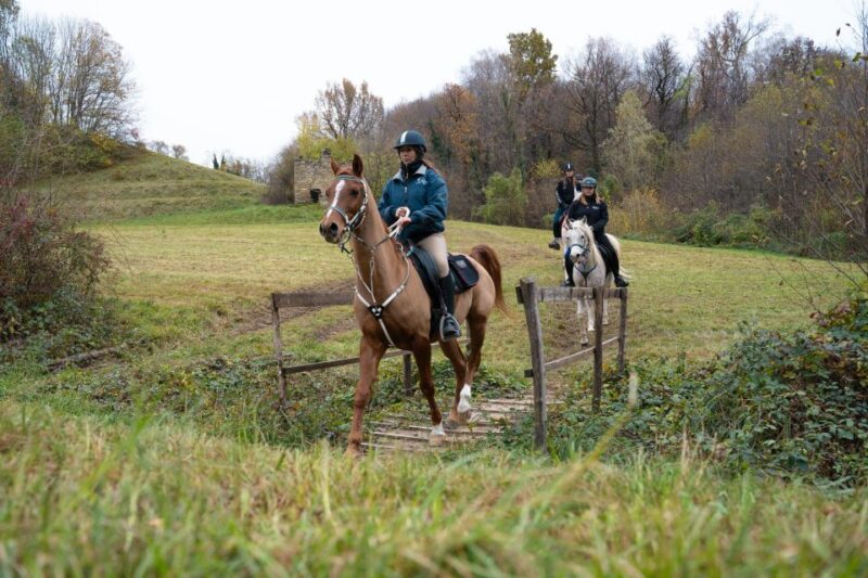 Lake Como: Horseback Adventure & Tasting With Amazing Views - Whats Included and Optional Extras