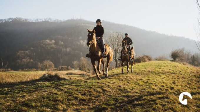 Lake Como: Horseback Adventure & Tasting With Amazing Views - Customer Reviews and Ratings
