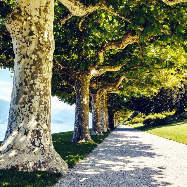 Lake Como: Lakeside Villas Entry Tickets With Ferries - Important Details