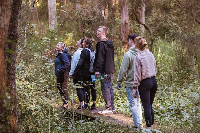 Lake Cruise and Nature Walk in Lake Macquarie - Traveler Requirements