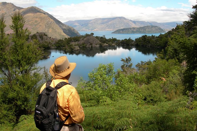 Lake Cruise & Mou Waho Island Nature Walk - Inclusions