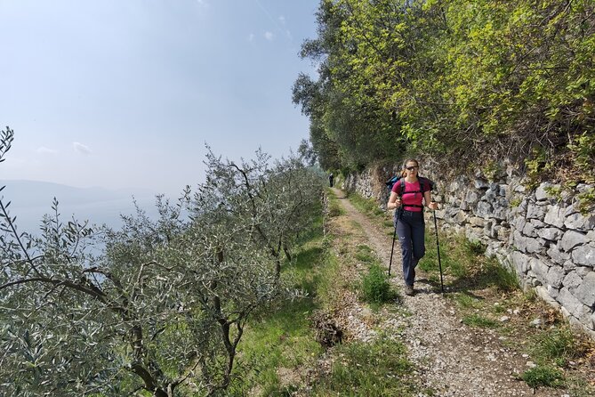 Lake Garda: One Day Private E-Bike Tour - Meeting and Pickup