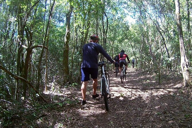 Lake Itaipu Bike Experience: Ride Along the Banks of the Lake - Exploring the Scenic Route