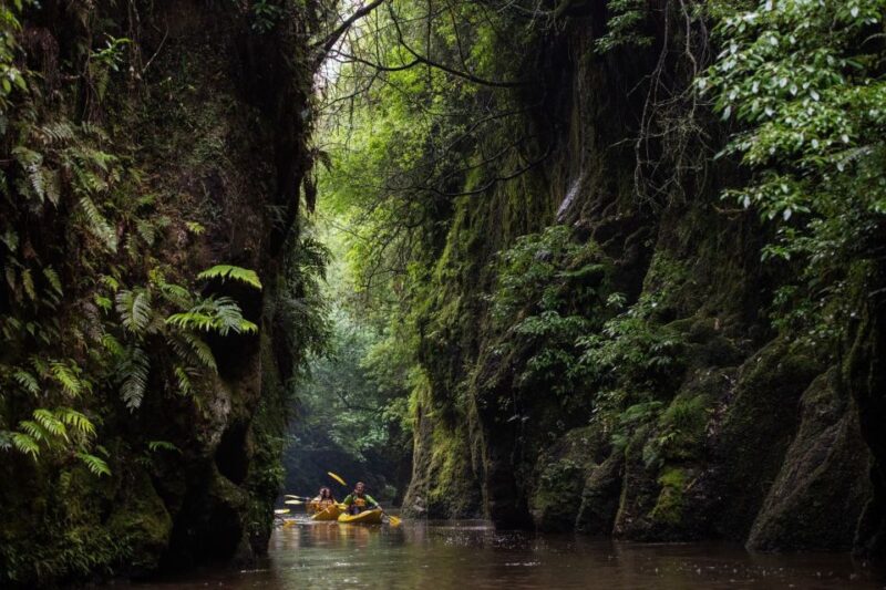Lake Karapiro: Evening Kayak Glowworm Tour - Key Points