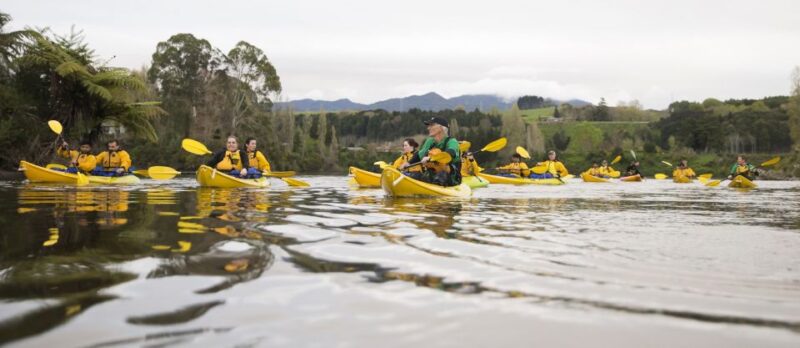 Lake Karapiro: Evening Kayak Glowworm Tour - Experience Highlights