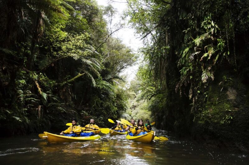 Lake Karapiro: Evening Kayak Glowworm Tour - Tour Details