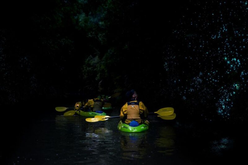 Lake Karapiro: Evening Kayak Glowworm Tour - Customer Reviews