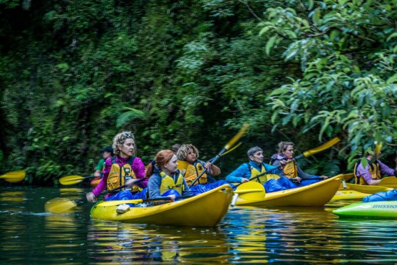 Lake Karapiro: Evening Kayak Glowworm Tour - Free Cancellation and Refund