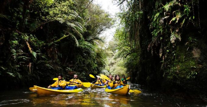 Lake Karapiro: Evening Kayak Glowworm Tour - Reserve Now and Pay Later