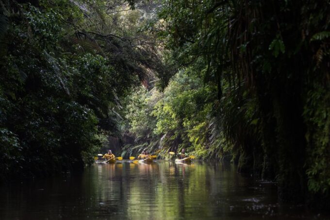 Lake Karapiro: Evening Kayak Glowworm Tour - Recap