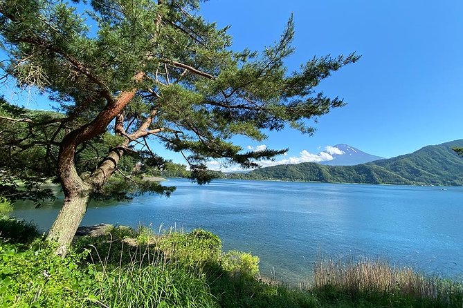 Lake Kawaguchiko Bike Tour - Meeting Point