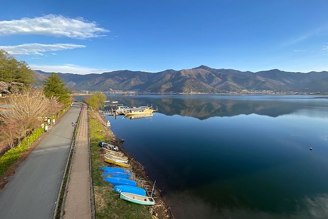 Lake Kawaguchiko Bike Tour - Pricing