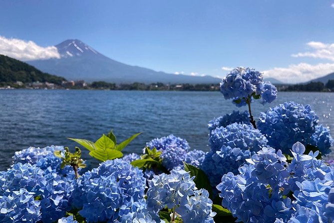 Lake Kawaguchiko Bike Tour - Spectacular Views