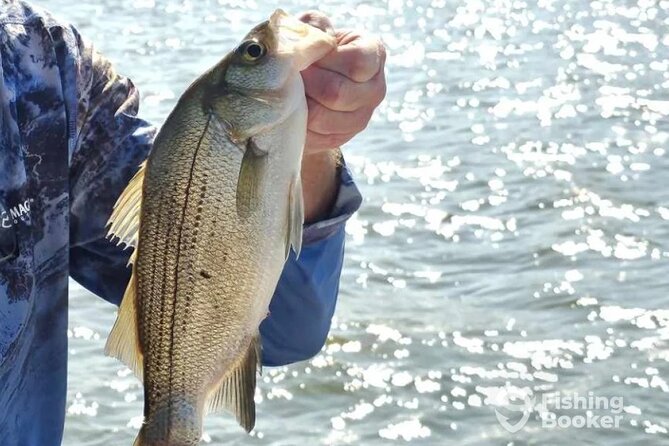 Lake Lewisville Guided Fishing Trips - Physical Fitness Requirement