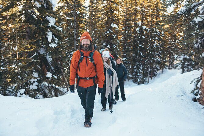Lake Louise and Icefields Parkway Winter Tour - Final Thoughts: Who Is This Tour Best For?