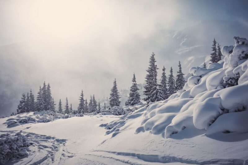 Lake Louise and Moraine: Self-Guided Driving Audio Tour - Audio Guide Features