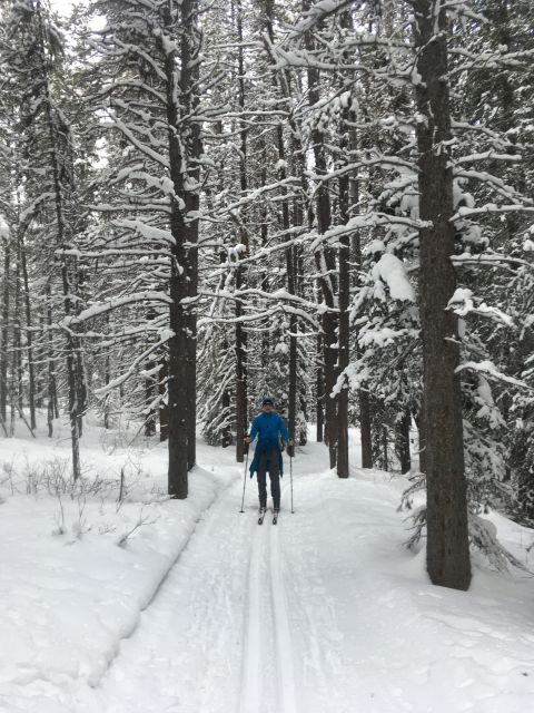 Lake Louise: Cross Country Skiing Lesson With Tour - Key Points