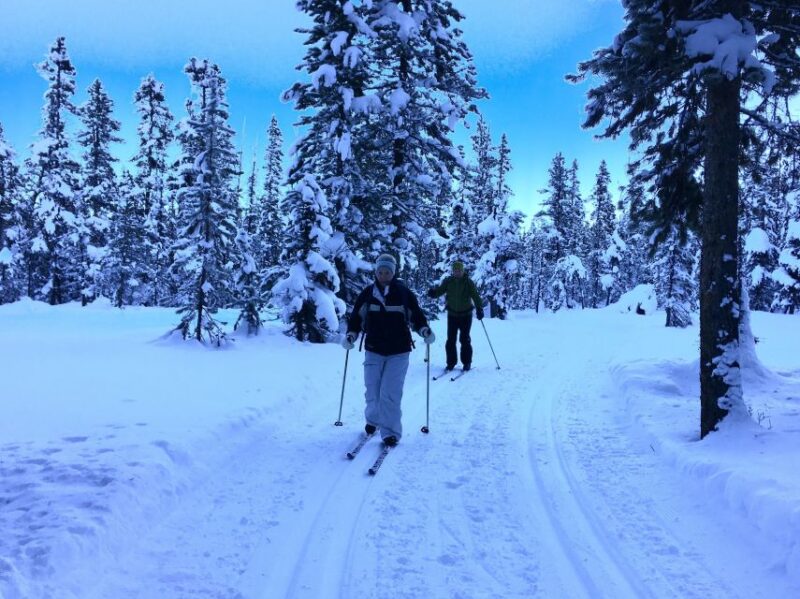 Lake Louise: Cross Country Skiing Lesson With Tour - Whats Included