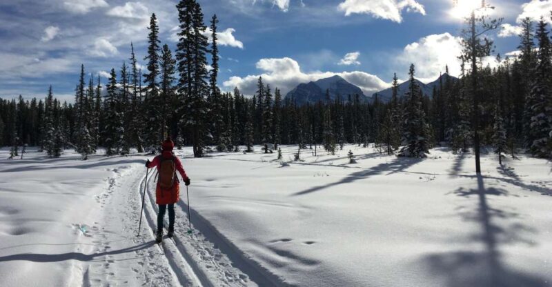 Lake Louise: Cross Country Skiing Lesson With Tour - Preparation and Equipment