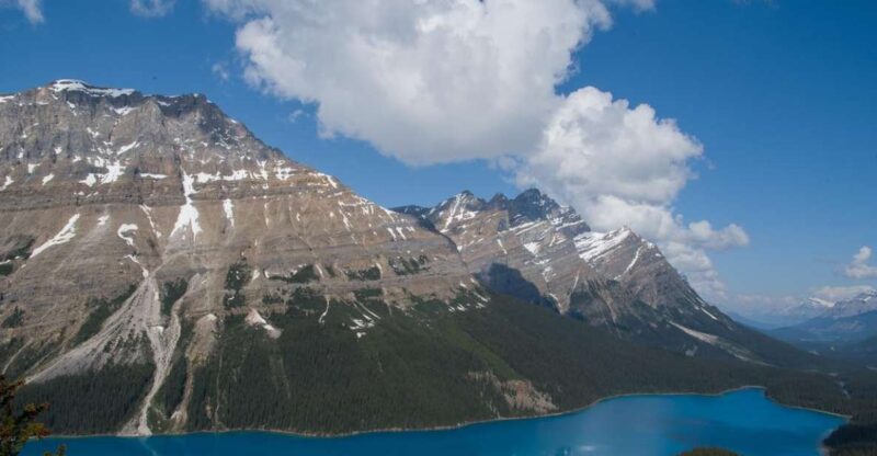 Lake Louise, Moraine Lake and Peyto Lake Full Day Tour - Key Points