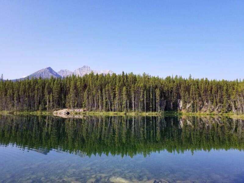 Lake Louise, Moraine Lake and Peyto Lake Full Day Tour - Itinerary and Highlights
