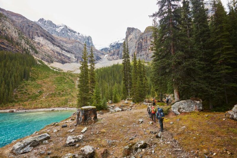 Lake Louise: Moraine & Louise Lake Half-Day Highlights Tour - Itinerary and Experience