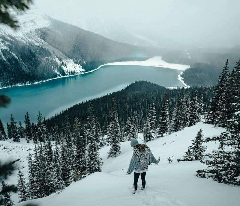 Lake Louise, Peyto Lake, Johnston Canyon & Icefields Parkway - An Overview of What This Tour Offers