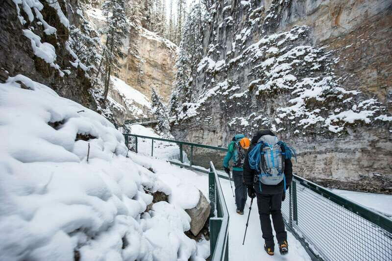 Lake Louise, Peyto Lake, Johnston Canyon & Icefields Parkway - Why This Tour Works Well