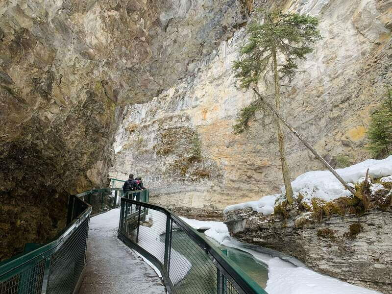 Lake Louise, Peyto Lake, Johnston Canyon & Icefields Parkway - The Sum Up: Who Will Love This Tour?