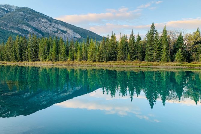 Lake Louise to Calgary Private Shuttle - Accessibility and Participation