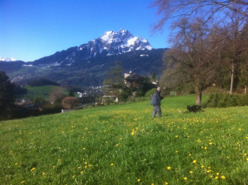 Lake Lucerne Half-day Countryside Walk - Starting and Ending Location