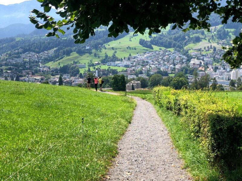 Lake Lucerne Half-day Countryside Walk - Itinerary Overview