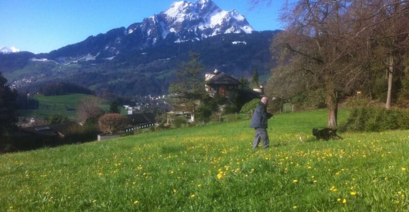 Lake Lucerne Half-day Countryside Walk - Additional Tour Information
