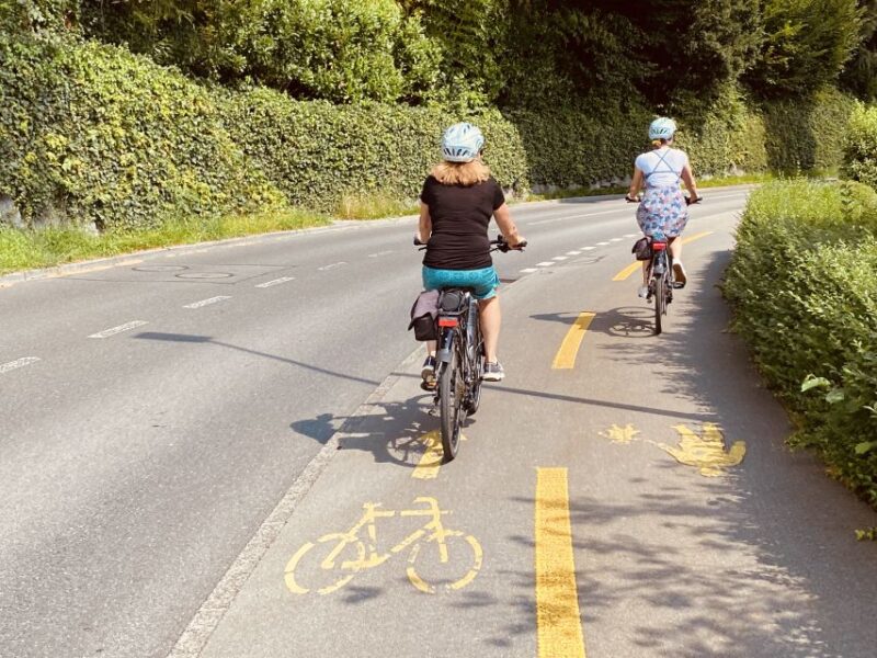 Lake Lucerne Peninsula E-Bike Tour - Important Information